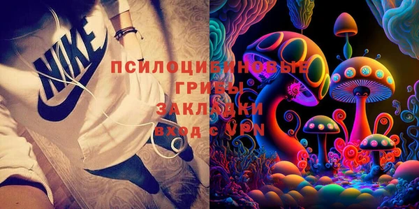 стафф Абинск