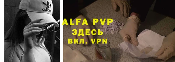 стафф Абинск
